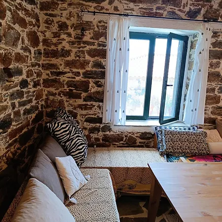 Moonstone Retreat Mesochoria